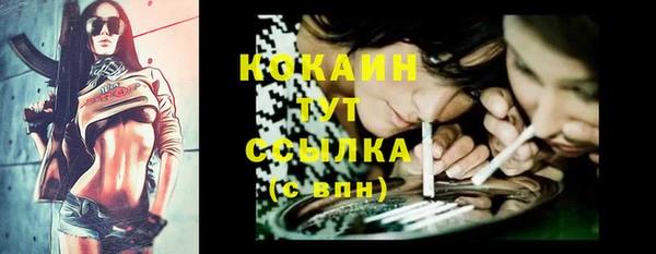 кокс Алексин