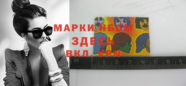 крисы Алзамай