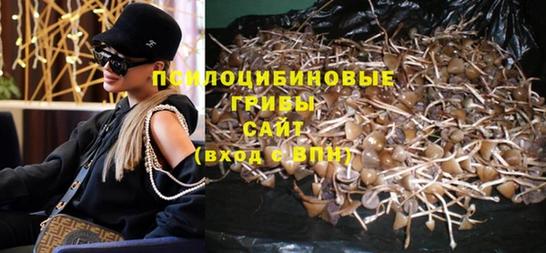 прущая мука Рославль