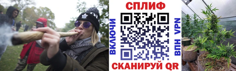 Конопля Bruce Banner Ковылкино